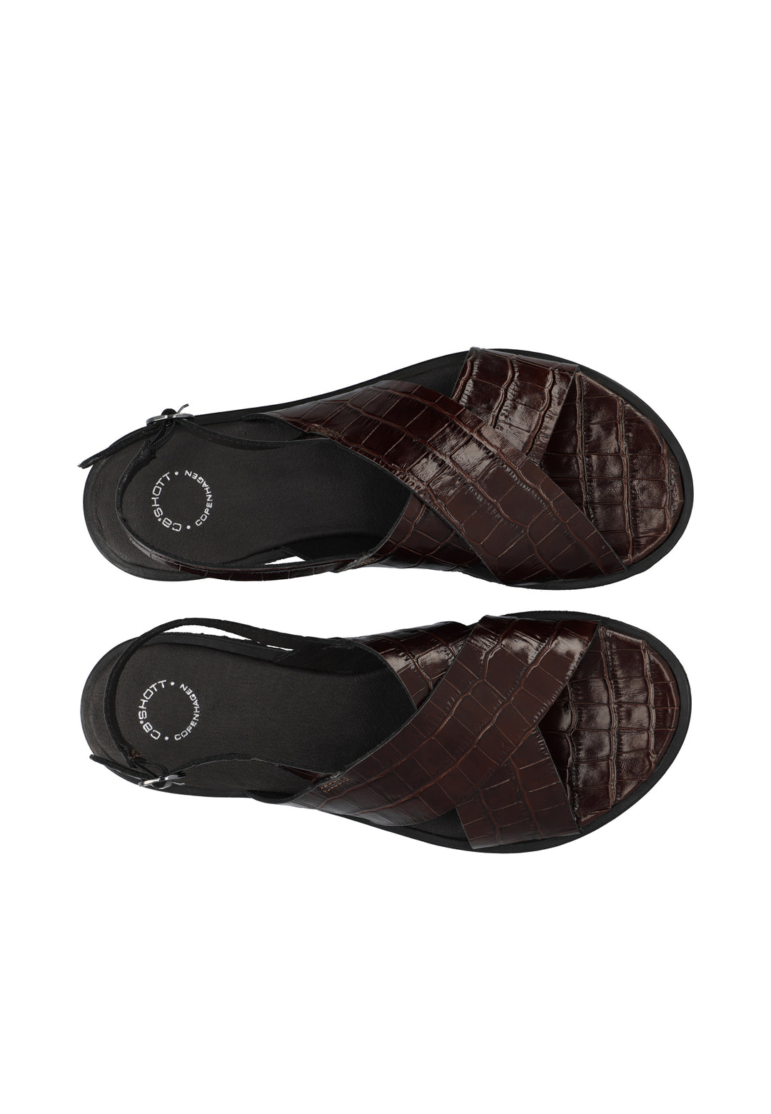CASHOTT CASGITTA CROSS SANDAL CROCO *Slingback Dark Brown Croco